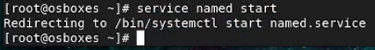 starting the named service using service named start command